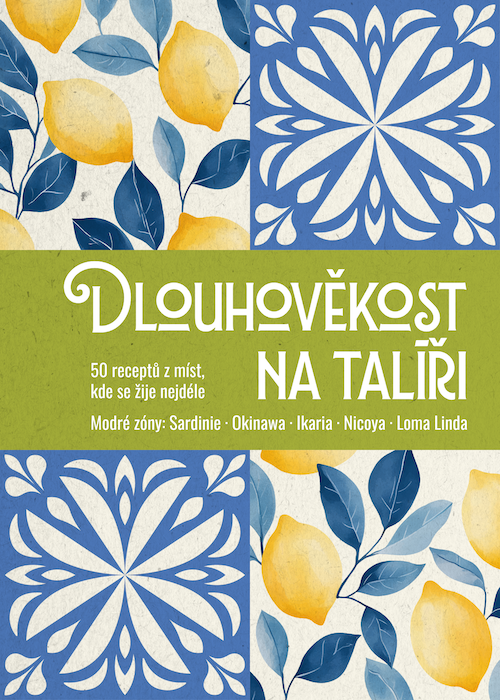 obalka DL
